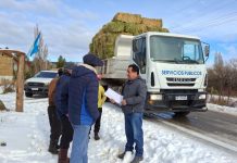 En Trevelin, asistieron a 150 familias con forraje para animales