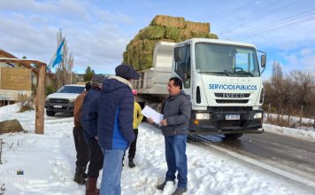 En Trevelin, asistieron a 150 familias con forraje para animales
