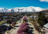 Esquel recibe la primavera a puro color: Bajada de Luces en La Hoya, Fiesta de los Ciruelos y Juegos de Montaña