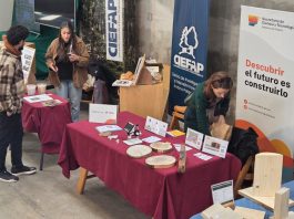 Esquel es sede del encuentro patagónico de la industria de la madera