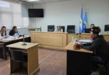 Un hombre irá a juicio por violencia de género y por crueldad animal