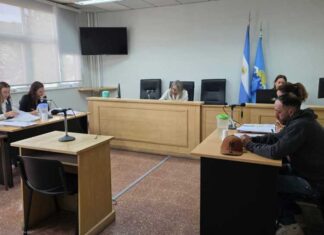 Un hombre irá a juicio por violencia de género y por crueldad animal