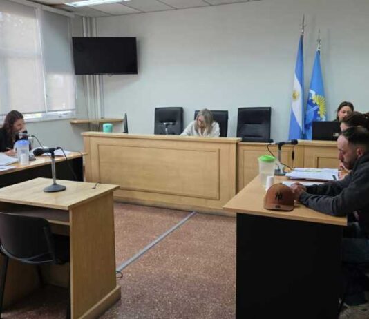 Un hombre irá a juicio por violencia de género y por crueldad animal
