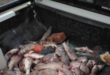 Pesca Continental realizó controles y secuestró truchas