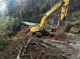 Parque Nacional Los Alerces: se restableció la circulación sobre la Ruta Provincial N° 71