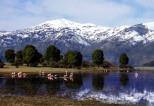Lago Rosario es sede de Encuentro Gastronómico Ancestral