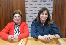 Realizarán una jornada de adopción responsable y reencuentro con animales