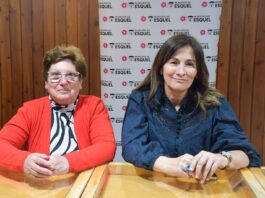 Realizarán una jornada de adopción responsable y reencuentro con animales