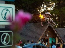 El dragón de Trevelin cumplió cinco años: la celebración en la Plaza Fontana se reprogramó para este sábado