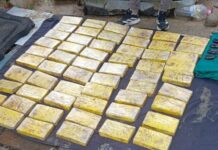 Dieron detalles del operativo que culminó con el secuestro de 60 kilos de cocaína