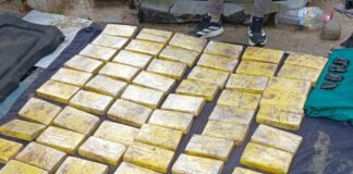 Dieron detalles del operativo que culminó con el secuestro de 60 kilos de cocaína