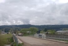 “Un puente hacia el amor”: Fauna Urbana invita a las familias adoptantes a celebrar sus historias