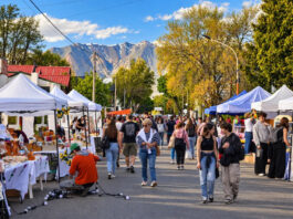Este sábado, Feriarte realiza una nueva Feria de Emprendedores en el centro de la ciudad