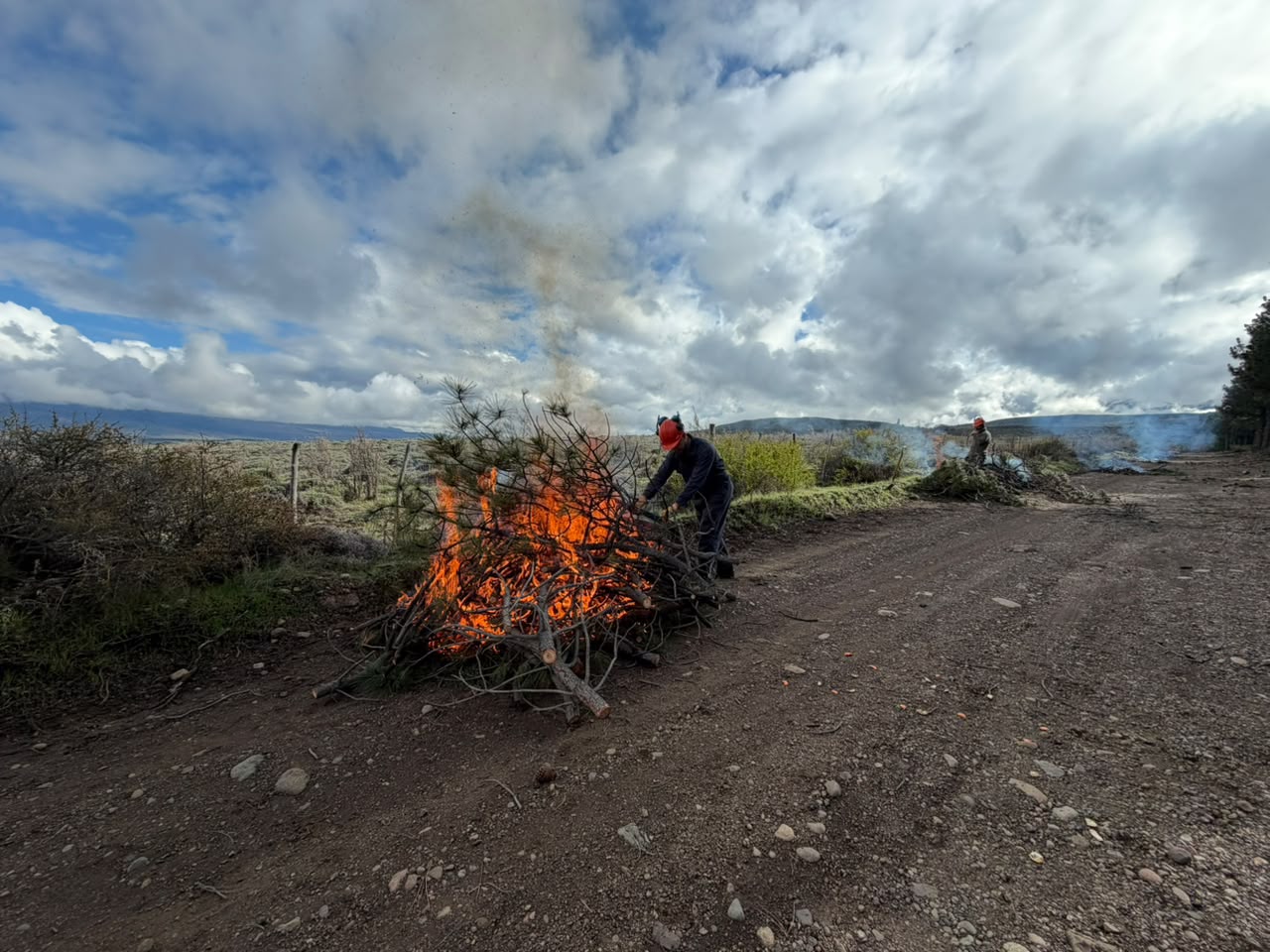 Refuerzan la prevención de incendios con trabajos de poda, raleo y limpieza en zonas de interfase - Diario La Portada