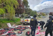 Esquel: secuestran carne de guanaco y puma en mal estado que sería vendida en carnicerías