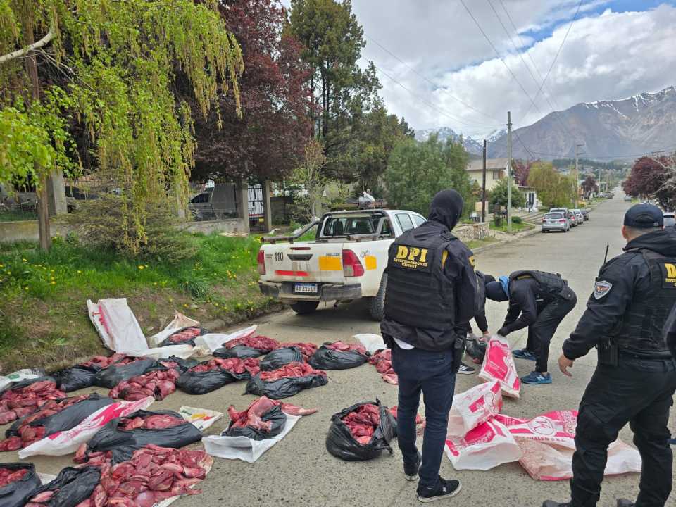 Esquel: secuestran carne de guanaco y puma en mal estado que sería vendida en carnicerías - Diario La Portada